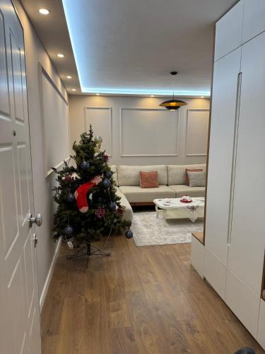 Jolie Center Apartment, Tirana (photo 4)