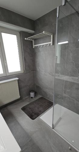 Superbe logement refait à neuf 3 chambres et double parking, Strasbourg (photo 8)