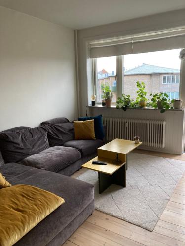 Central cozy apartment in Amager, Kopenhagen (Foto 9)