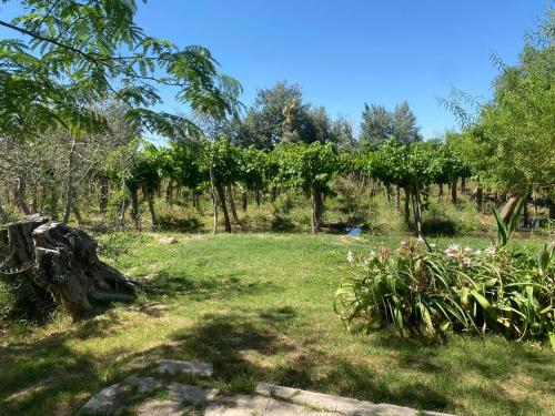 El cordobes in 비야 헤네랄 산 마르틴