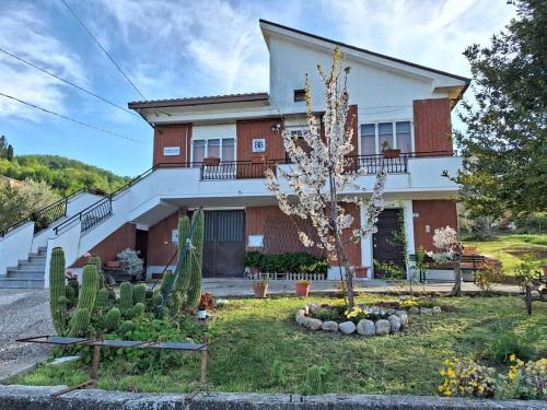 . B&B Da Nonna Lucia