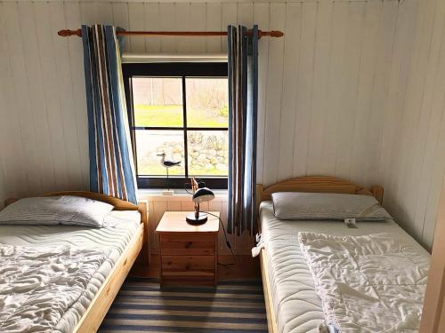 Seestern, Friedrichskoog-Spitz (fotografie 7)