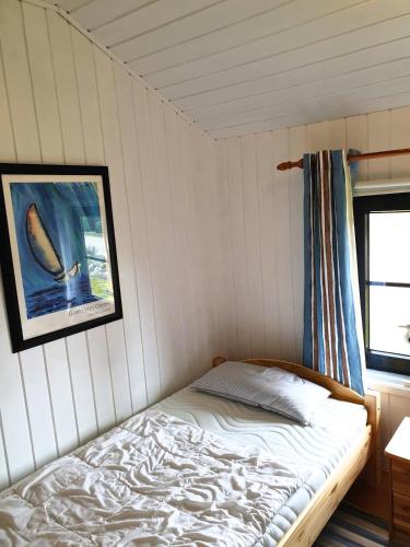 Seestern, Friedrichskoog-Spitz (fotografie 8)
