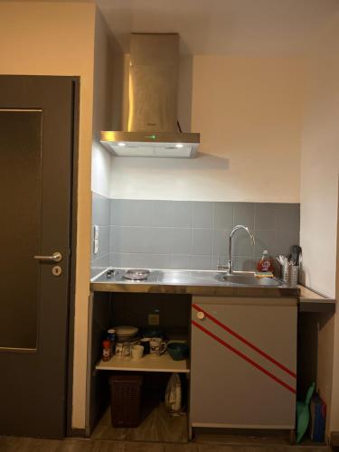 Logement type studio 1 piece proche zénith, Estrasburgo (foto 6)
