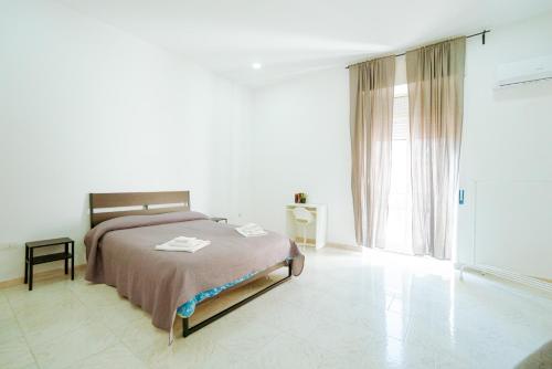 Santo 310 4