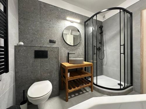 Bathroom, Chalupa U Krize in Harrachov