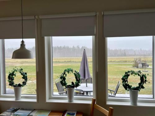 Apkārtne, Stuga på unika Siljan Airpark (Stuga pa unika Siljan Airpark) in Siljansnasa