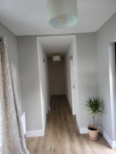 外部景觀, Beech lodge in 浮爾奇斯米斯