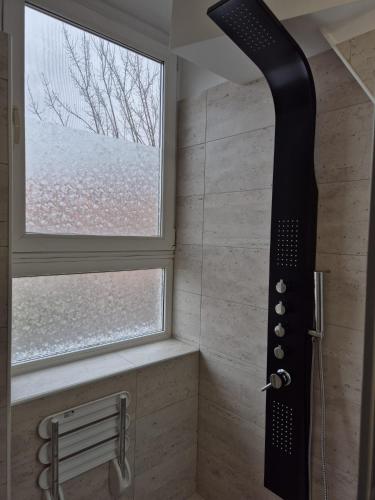 Apartament spatios 2 camere Apartament spatios 2 camere