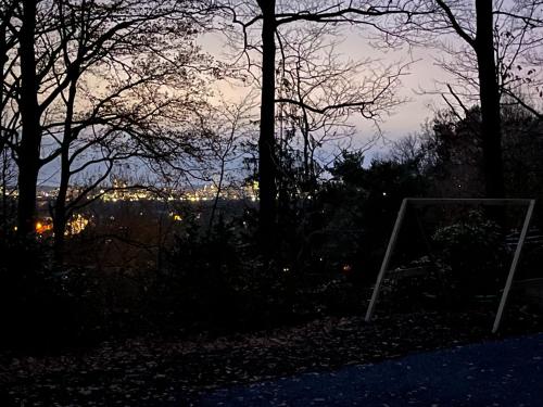 Kokoon in 't groen, Lovaina (foto 10)