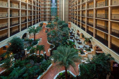 View, Four Points by Sheraton Suites Tampa Airport Westshore in Tampa International Airport