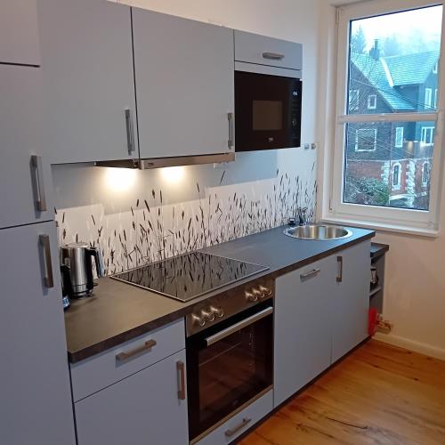 Lauschablick FeWo Thüringen (Lauschablick FeWo Thuringen) in 勞莎