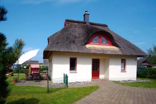 Seemöwe in Glowe, Deutschland