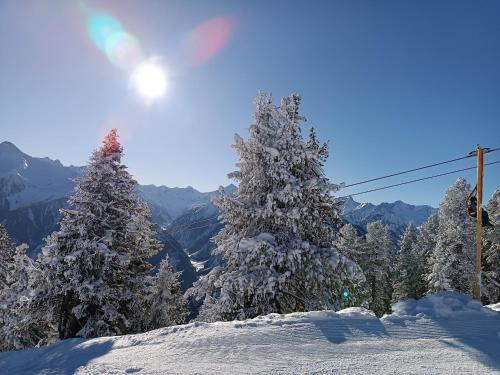 Haus Angelika im Zillertal in Hippach
