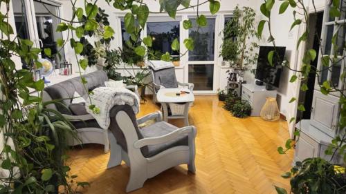 Zakątek u Poety Dąbrówka (Zakatek u Poety Dabrowka) in ยาสวอ