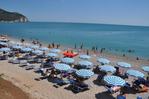 Mattinata Camping 1