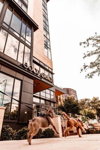 628170035 Marriott Dallas Uptown