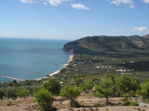 Mattinata Camping 3