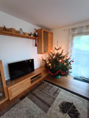 Ferienwohnung Schwarzwald mit Terrasse & Parkplatz in Dornhan