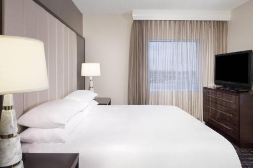 One Bedroom Suite with one King Bed and Sofa Bed image 4