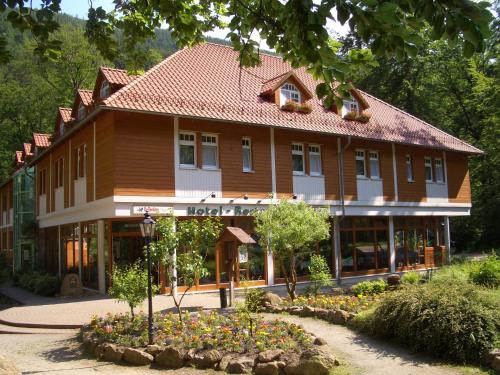 Kurpark Flair Hotel Im Ilsetal