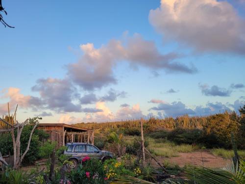 Driftwoodlodge in 薩瓦內塔