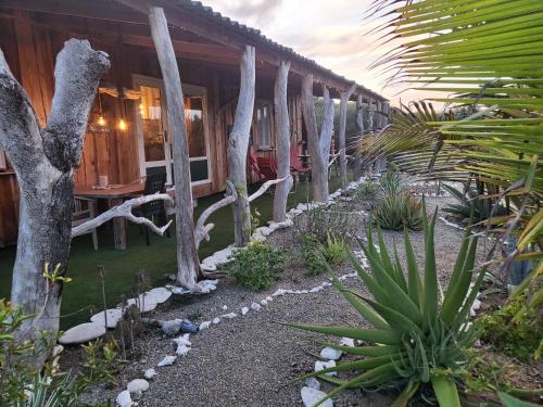 花園, Driftwoodlodge in 薩瓦內塔