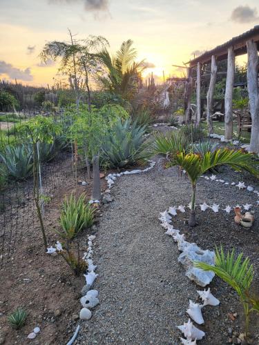 Driftwoodlodge in 薩瓦內塔