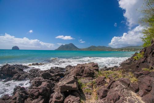 App T2 Cosy aux portes du Diamant App T2 Cosy aux portes du Diamant