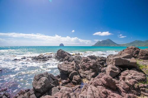 App T2 Cosy aux portes du Diamant App T2 Cosy aux portes du Diamant