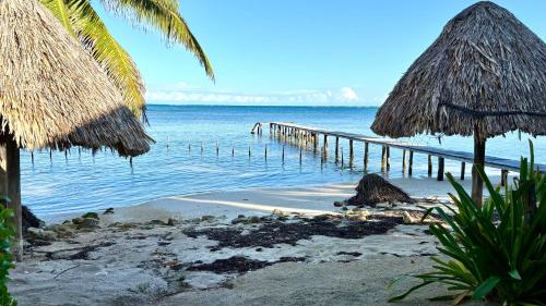 Strand, Casa Cangrejo Xcalak Lodge in Xcalak