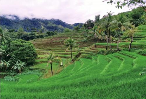周辺観光スポット, レッドドアーズ @ ゴールデン トラベラーズ イン アンティーク (RedDoorz @ Golden Travellers Inn Antique) in サン ホセ デ ブエナビスタ