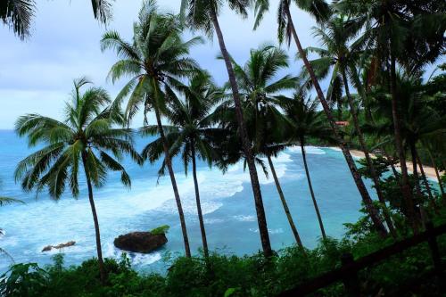 ビーチ, レッドドアーズ @ ゴールデン トラベラーズ イン アンティーク (RedDoorz @ Golden Travellers Inn Antique) in サン ホセ デ ブエナビスタ