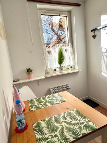 Apartamencik Centrum, Polanica-Zdrój (fotografie 5)