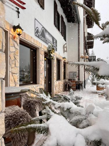  Monterovere, Pension in Albergo Monte Rovere