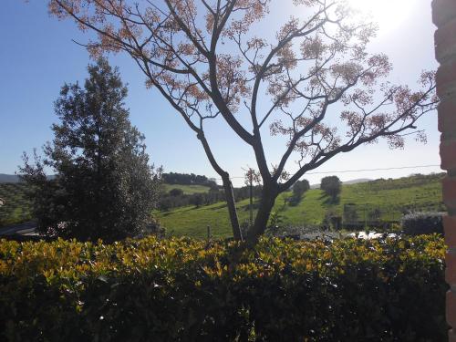 Agriturismo La Poiana