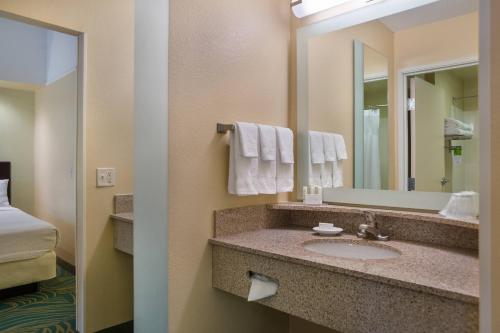 SpringHill Suites St Petersburg Clearwater - image 11