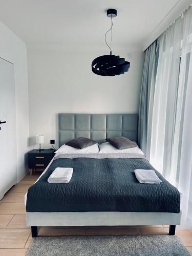 1 queen bed, 1 sofa bed