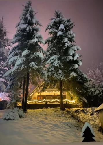 Vila Krnjević Jastrebac, Buci
