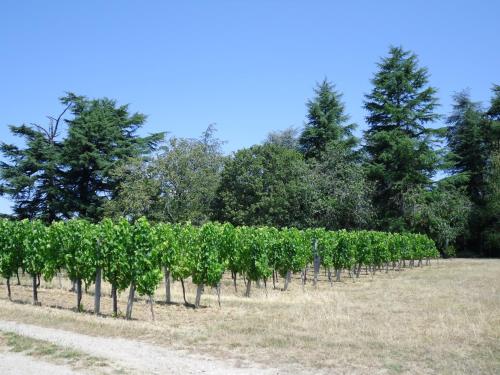 Le logis d Adrien in Saint-Etienne-de-Lisse