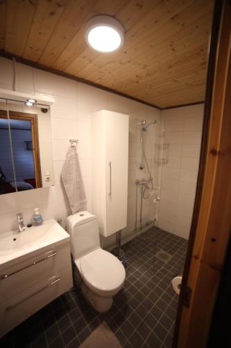Holiday Village Nuorgamin Lomakeskus Room Type - Double Room with Bathroom