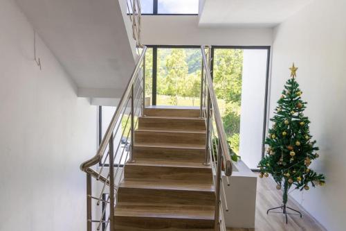 Palms 2, La Gaulette (fotografie 5)