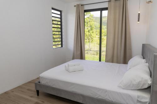 Palms 2, La Gaulette (fotografie 9)