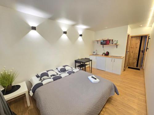 T2 Studio apartment - image 4