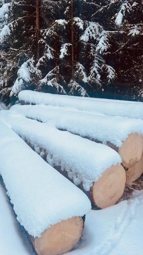 Chalet Tschattlhof Dolomites