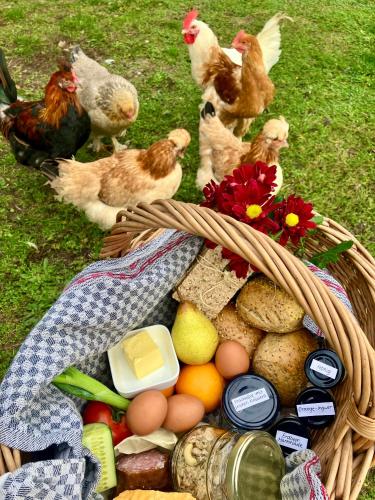 餐飲選擇, FeWo Versteck am Hug in 於特博格