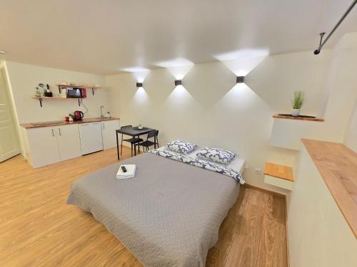 T8 Studio apartment