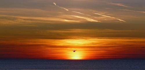 สภาพแวดล้อมโดยรอบ, Le-Clochard in กรูท เมท ฮาร์เคน