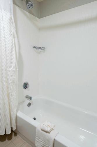 Courtyard by Marriott Cleveland Willoughby - image 13