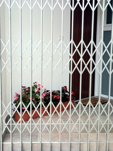 Casa delle begonie, Rome (photo 2)